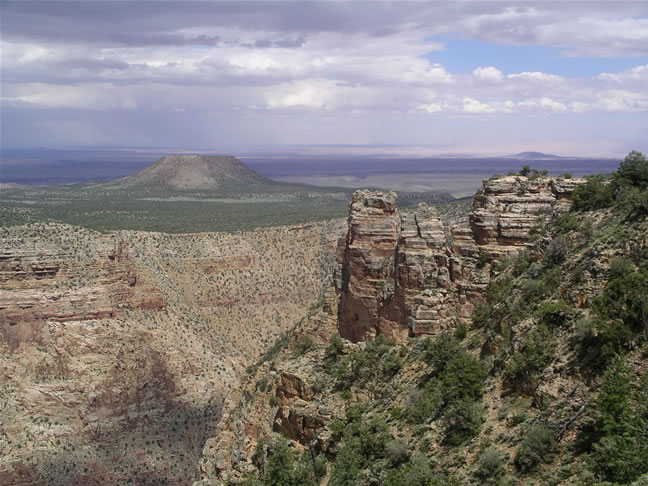 images/D-Navajo Point- Canyon View (1).jpg